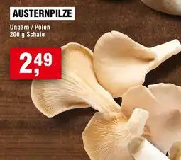 Handelshof Austernpilze Angebot