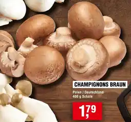 Handelshof Champignons braun Angebot