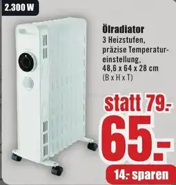 B1 Discount Baumarkt Ölradiator Angebot