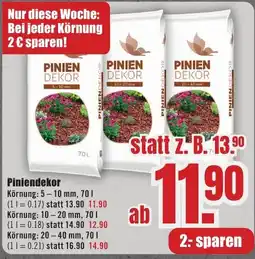 B1 Discount Baumarkt PINIENDEKOR Angebot