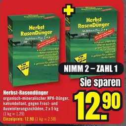 B1 Discount Baumarkt Herbst Rasendünger Angebot