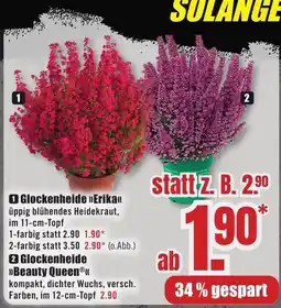 B1 Discount Baumarkt Glockenheide »Erika« Angebot