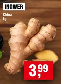 Handelshof INGWER Angebot