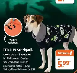 Fressnapf FIT+FUN Strickpull-over oder Sweater Angebot