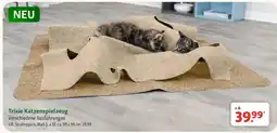 Fressnapf Trixie Katzenspielzeug Angebot