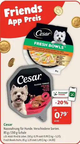 Fressnapf Cesar Fresh Bowls Huhn Angebot