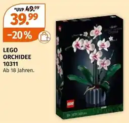 Müller LEGO ORCHIDEE Angebot