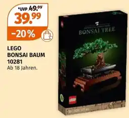 Müller LEGO BONSAI BAUM Angebot
