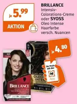 Müller BRILLANCE Intensiv-Colorations-Creme oder SYOSS Oleo Intense Haarfärbe Angebot