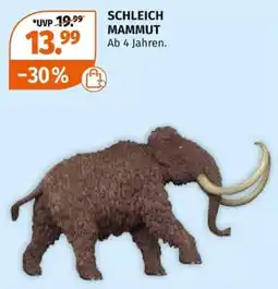 Müller SCHLEICH MAMMUT Angebot
