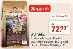 Fressnapf Wolfsblut Trockennahrung für Hunde Angebot