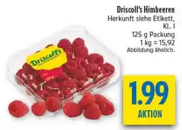 diska Driscoll's Himbeeren Angebot