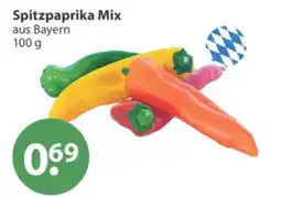 V Markt Spitzpaprika Mix Angebot