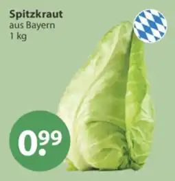V Markt Spitzkraut aus Bayern Angebot