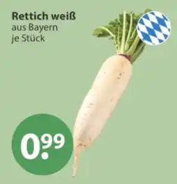 V Markt Rettich weiß aus Bayern Angebot
