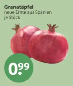 V Markt Granatäpfel Angebot