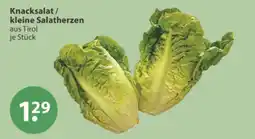 V Markt Knacksalat / kleine Salatherzen Angebot