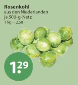 V Markt Rosenkohl Angebot