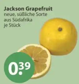 V Markt Jackson Grapefruit Angebot