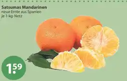 V Markt Satsumas Mandarinen Angebot