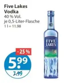 V Markt Five Lakes Vodka Angebot