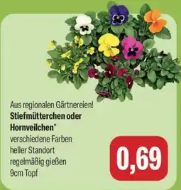 Feneberg Stiefmütterchen oder Hornveilchen* Angebot