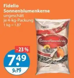 V Markt Fidelio Sonnenblumenkerne Angebot