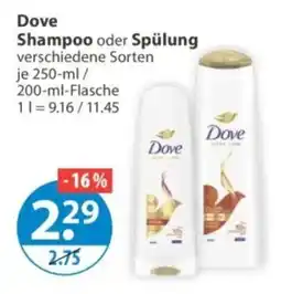 V Markt Dove Shampoo oder Spülung Angebot