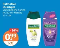 V Markt Palmolive Duschgel Angebot