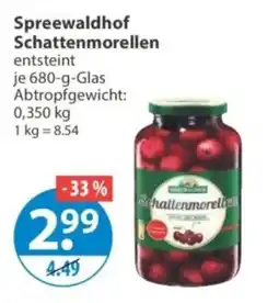 V Markt Spreewaldhof Schattenmorellen Angebot