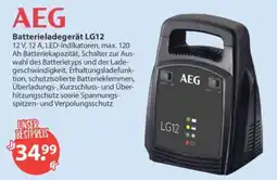 V Markt AEG Batterieladegerät LG12 Angebot