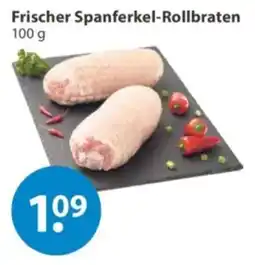 V Markt Frischer Spanferkel-Rollbraten Angebot