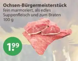 V Markt Ochsen-Bürgermeisterstück Angebot