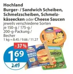 V Markt Hochland Burger-/Sandwich Scheiben, Schmelzscheiben, Schmelzkäseecken oder Cheese Sauzen Angebot