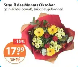 V Markt Strauß des Monats Oktober Angebot
