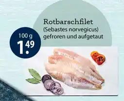 V Markt Rotbarschfilet Angebot