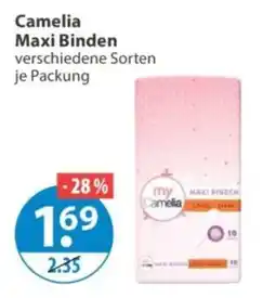 V Markt Camelia Maxi Binden Angebot