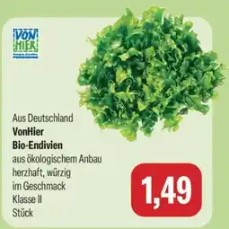 Feneberg VonHier Bio-Endivien Angebot
