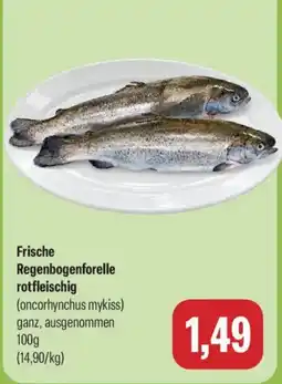 Feneberg Frische Regenbogenforelle rotfleischig Angebot