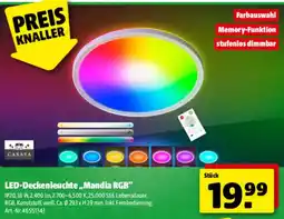 Hagebau LED-Deckenleuchte „Mandia RGB“ Angebot