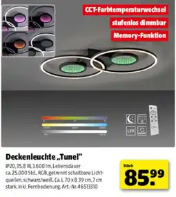 Hagebau Deckenleuchte „Tunel“ Angebot