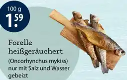 V Markt Forelle heißgeräuchert Angebot