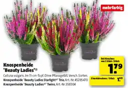 Hagebau Knospenheide 'Beauty Ladies'® Angebot