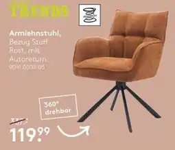 Möbel Rieger Armlehnstuhl Angebot