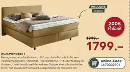 Möbel Buss Modulmaster boxspringbett Angebot