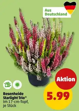 PENNY Besenheide Starlight Trio* Angebot