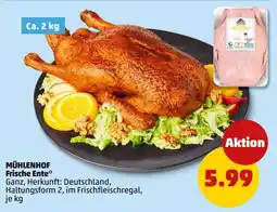 PENNY MÜHLENHOF Frische Ente Angebot