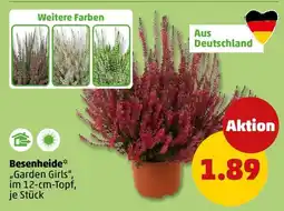 PENNY Besenheide* "Garden Girls" Angebot