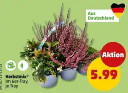 PENNY Herbstmix* Angebot
