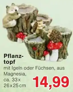Wiglo Wunderland Pflanztopf mit Igel oder Füchsen Angebot